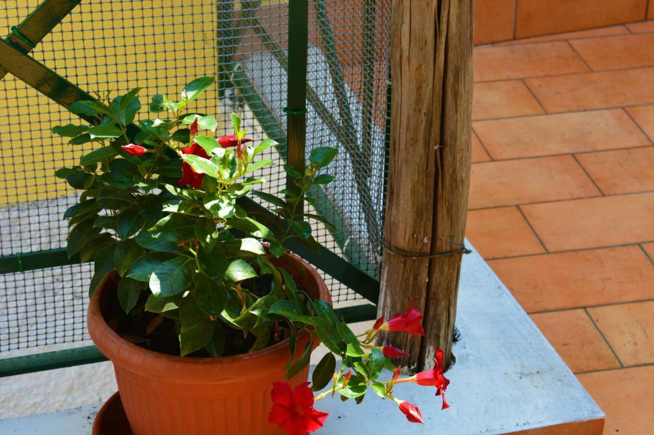 La Bomboniera Villa Maiori Bagian luar foto